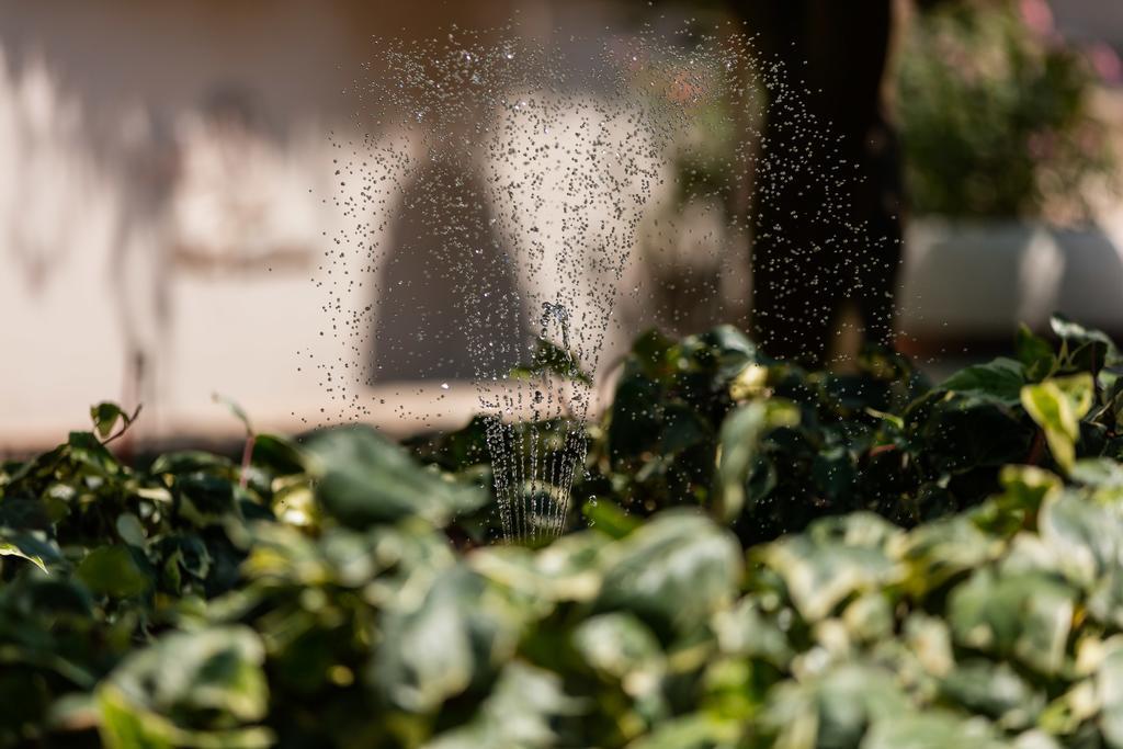 Villa Kamenica Komiža Εξωτερικό φωτογραφία